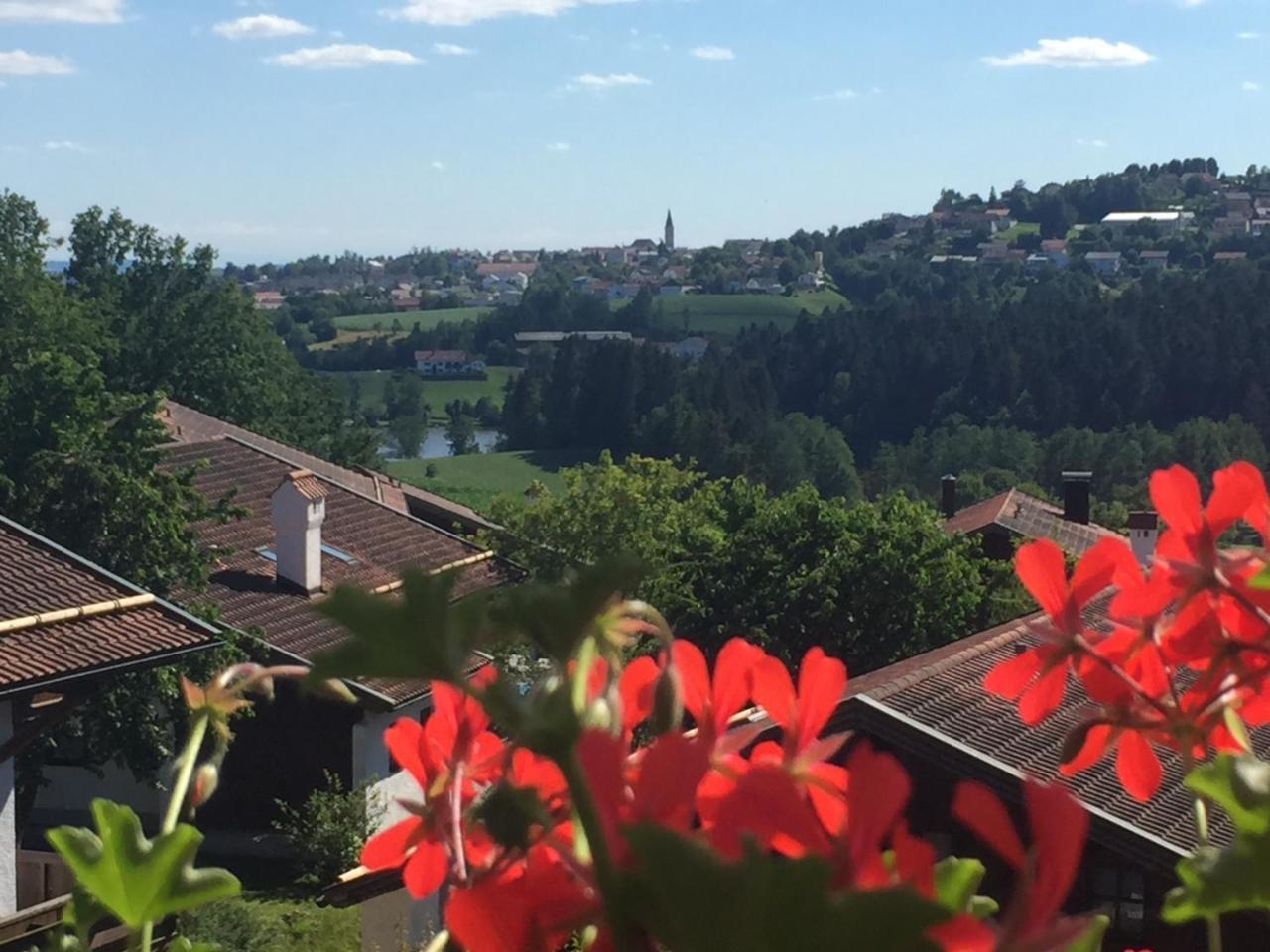 Ferienwohnung Waldblick האוצנברג מראה חיצוני תמונה