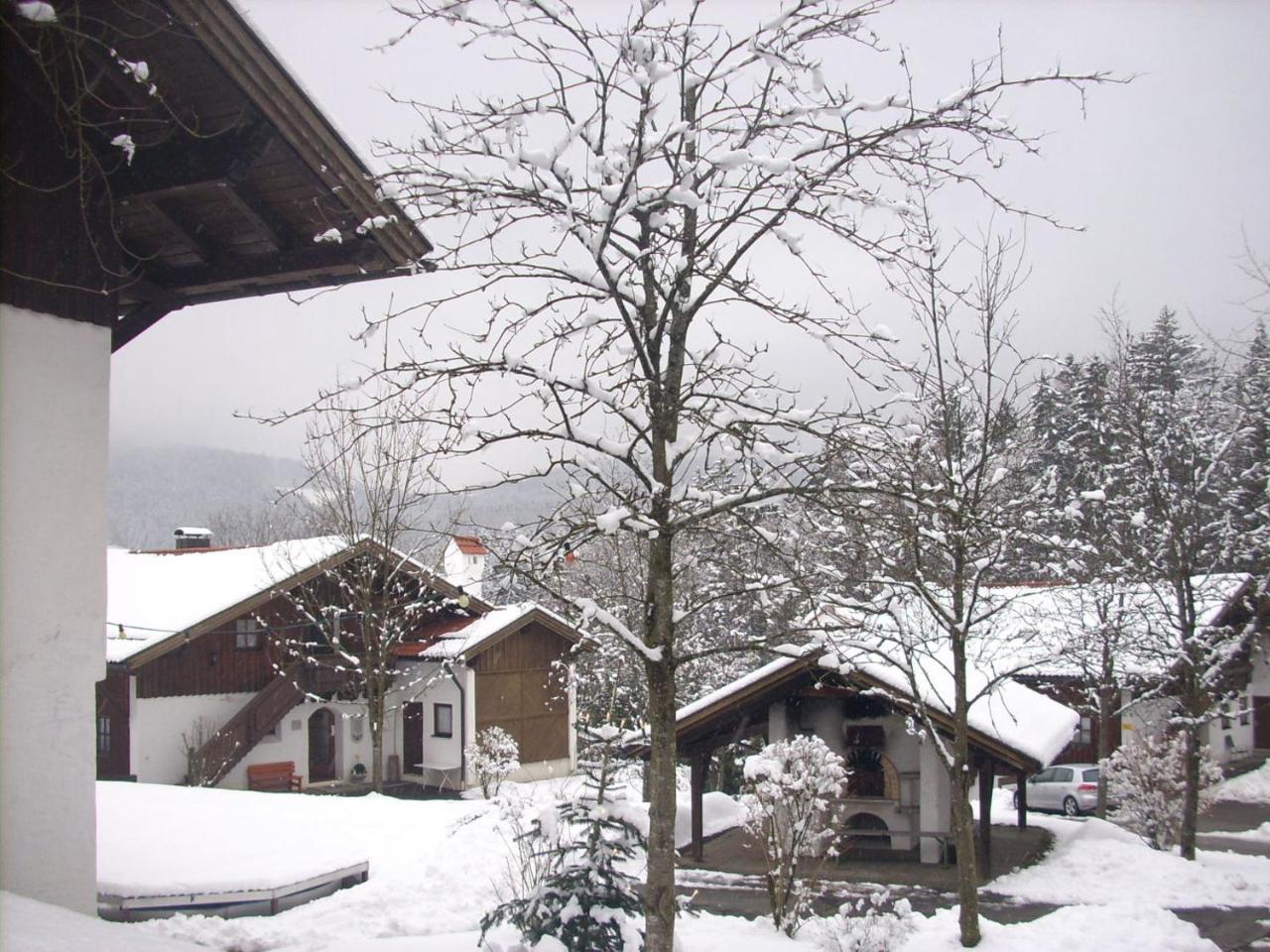 Ferienwohnung Waldblick האוצנברג מראה חיצוני תמונה