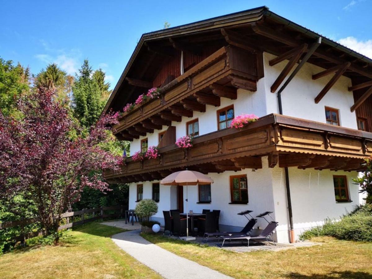 Ferienwohnung Waldblick האוצנברג מראה חיצוני תמונה